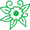 Flower Icon - Col